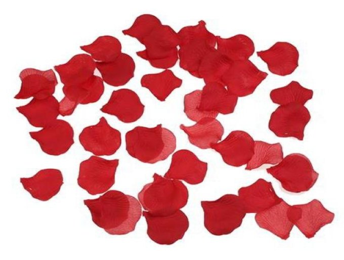 Fausses Pétales de Fleur x100 Rouge
